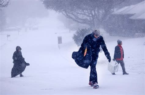 Photos: See how the snow and winter storm have affected Arlington