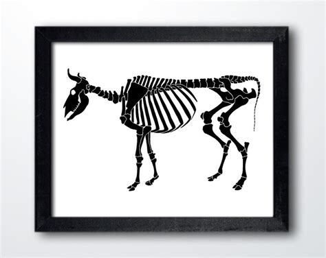 Cow Skeleton Digital Download Cow Art Halloween Cow - Etsy