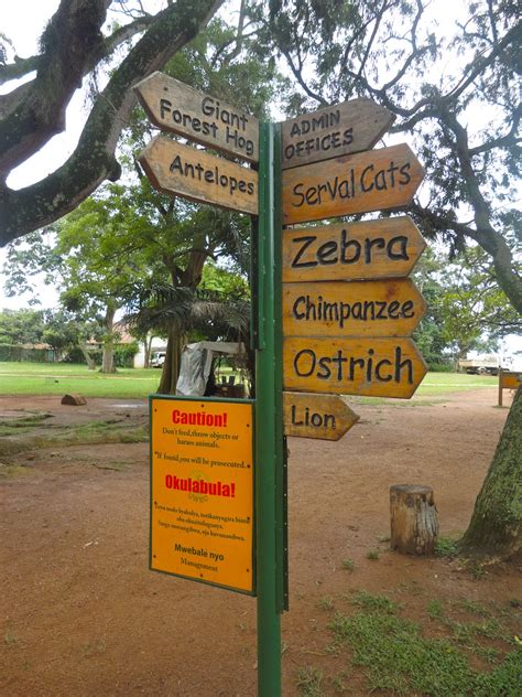 Arms Wide Open: Fun at the Entebbe Zoo with Friends