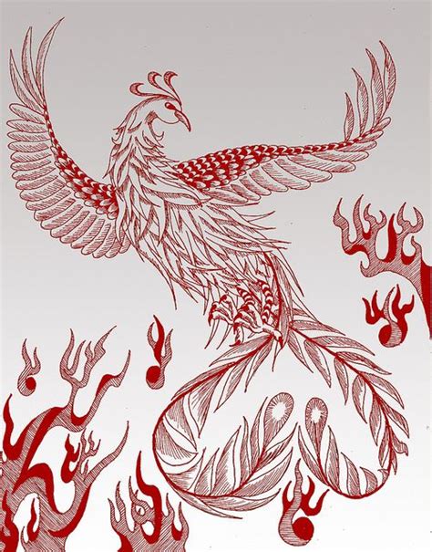 25+ best ideas about Vermilion bird on Pinterest | Phoenix mythology ...