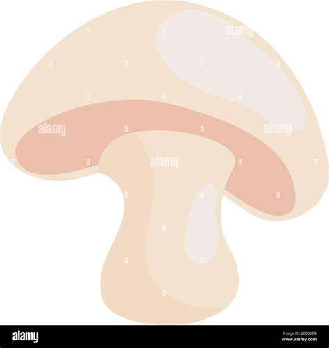 fresh mushroom vegetable, in white background Stock Vector Image & Art ...