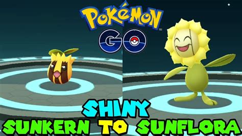 Evolving SHINY SUNKERN TO SHINY SUNFLORA IN POKEMON GO - YouTube