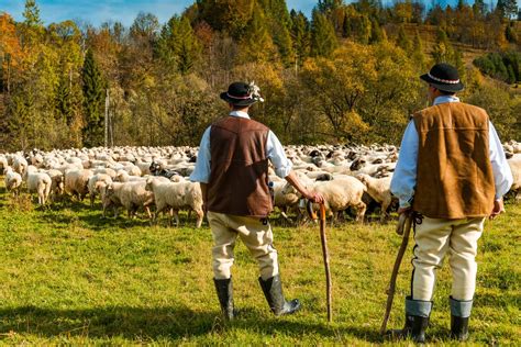 Polska kultura oczami Ukraińców. Jak widzą nas nasi wschodni sąsiedzi? - Magia Kultury