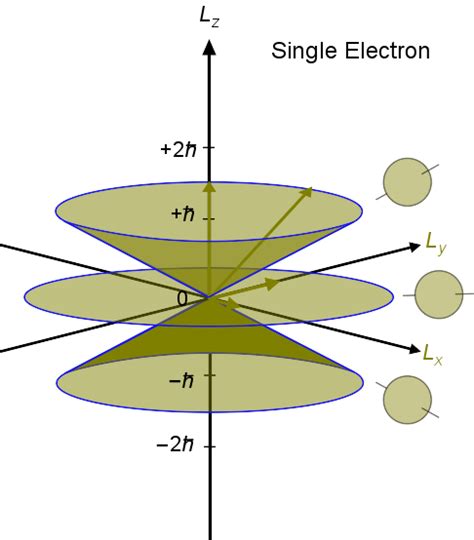 (Solved) - Determine the term symbol for a hydrogen atom ignoring ...