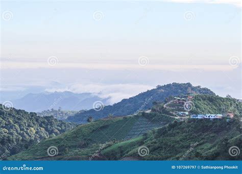 Phu Thap Boek, Phetchabun Province, Thailand Stock Image - Image of tree, forest: 107269797