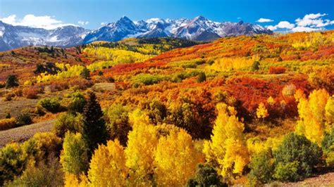 Colorado fall colors photo gallery 2023 | Share your pictures | FOX31 ...