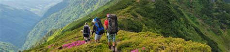 8 Best Treks in Wayanad 2023 | Book & Get Upto 25% Off