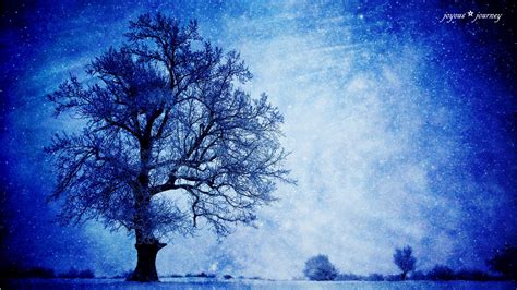 star night tree by joyous-journey on DeviantArt