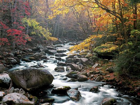 THE GREAT SMOKY MOUNTAINS