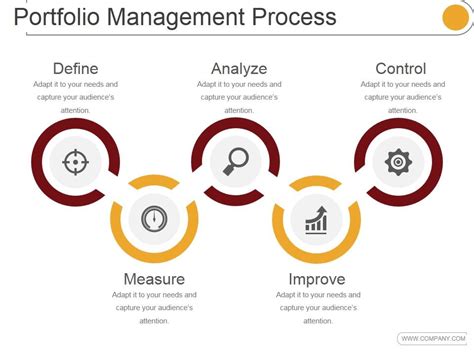 Portfolio Management Process Ppt PowerPoint Presentation Clipart