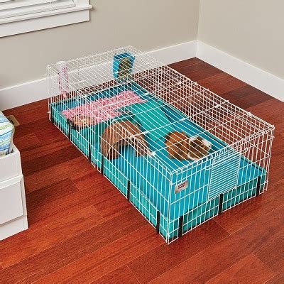 Best Big & Extra Large Guinea Pig Cages On Sale In 2020 Reviews