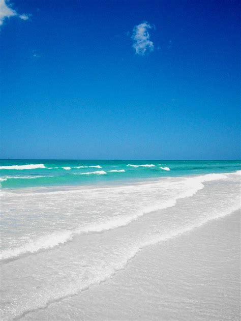 23 best Siesta Key! images on Pinterest | Siesta key, Siesta key beach and Siesta key florida