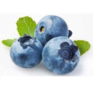 Blueberry in Tamil nadu - Manufacturers and Suppliers India