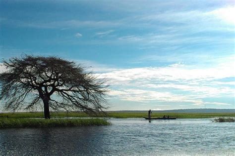 Assessing agricultural biodiversity in Zambia