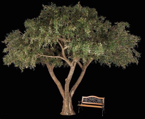 Artificial Mediterranean Olive Tree | TreeScapes & PlantWorks