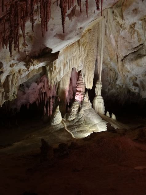 King's Palace tour, Carlsbad Caverns, New Mexico. | Carlsbad caverns national park, Carlsbad ...