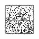 Premium Vector  Daisy Flower coloring Pages outline vector For sketch template