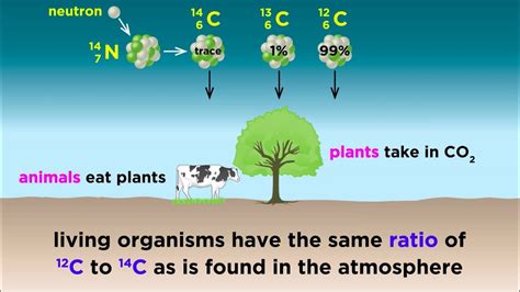 How Is Carbon Dating Used To Date An Object? All Answers - Chiangmaiplaces.net