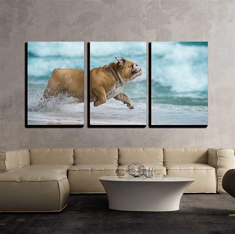 Wall26 3 Piece Canvas Wall Art - Happy Dog Bulldog Running at the Sea - Modern Home Decor ...