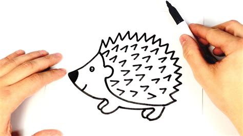 How to draw a Hedgehog for kids | Hedgehog Drawing Lesson | Hedgehog ...