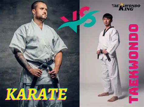 What is the Difference Between Karate and Taekwondo? - Taekwondo King