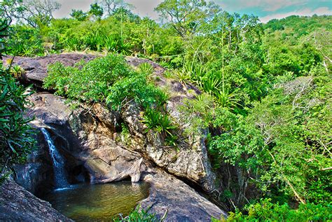 Discovering hidden waterfalls – Treehouse Sri Lanka