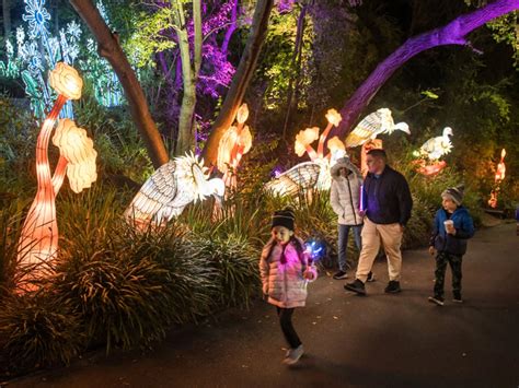 L.A. Zoo Lights: Animals Aglow Tickets | Los Angeles | TodayTix