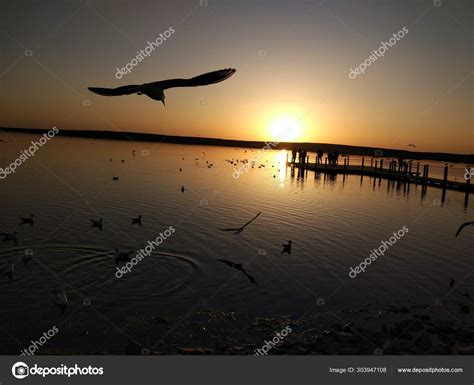 Silhouette Beautiful Sunset Beach — Stock Photo © Imaginechina-Tuchong #303947108