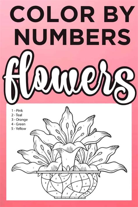 Free Color By Number Flowers - Made with Happy