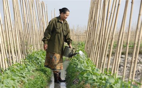 Enhancing water policies in Laos - CGIAR