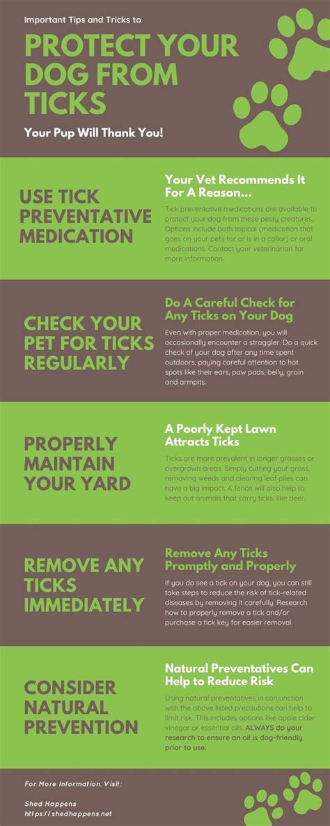 Protect Your Dog From Ticks with These Tips! in 2020 | Tick prevention, Tick removal dog, Prevention