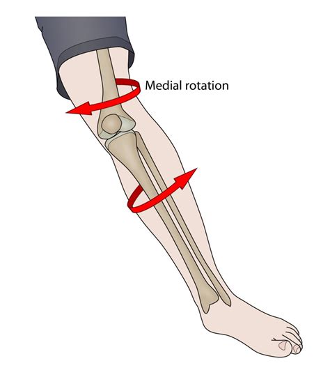 Physio treatment For The Most Common Knee Injuries In Sport | Central Performance