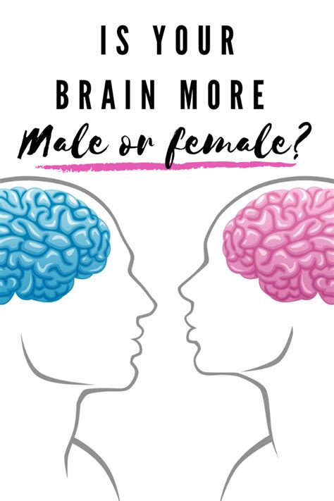 Do You Have a Male or Female Brain? | Gender quiz, Gender identity quiz, Coping skills activities