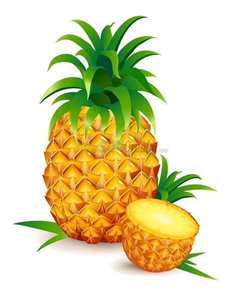 Pineapple clip art fourcoloringpages – Clipartix