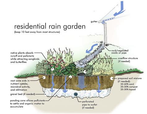 Rainwater tanks & rain gardens save money & the environment | Rainharvest.co.za