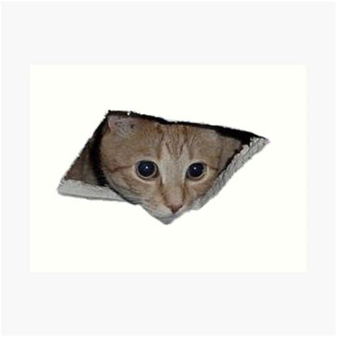 "Ceiling Cat Meme" Art Print by lolhammer | Redbubble