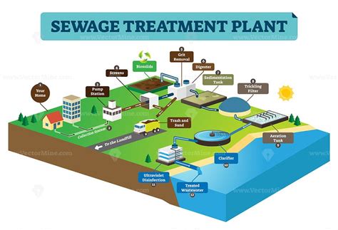 Sewage treatment plan infographic vector illustration - VectorMine