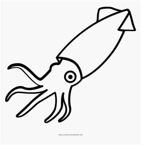 Collection Of Free Squid Drawing Simple Download On - Squid Black And ...