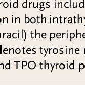 Side Effects of Antithyroid Drugs.* | Download Table