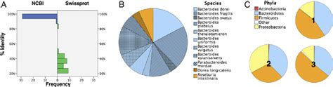 Bacteroidetes species appear to be enriched in effector genes. ( A ...