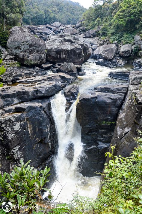 Ranomafana National Park, Madagascar