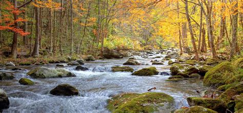 The 4 Most Beautiful National Parks in North Carolina | Keffer Auto Group