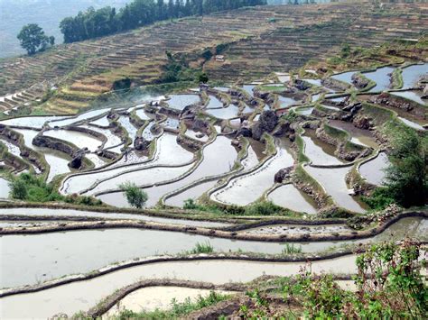 Duoyishu Rice Terraces | The Yuanyang rice terraces at Duoyi… | Flickr