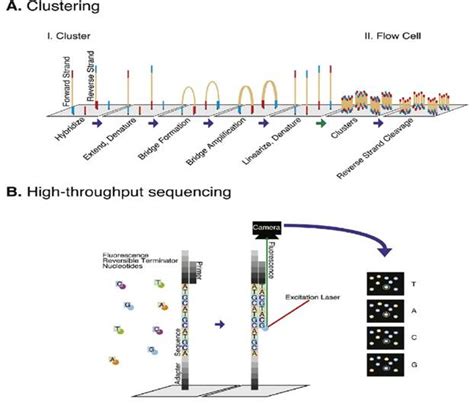 midterm_review – BCH709 Introduction to Bioinformatics