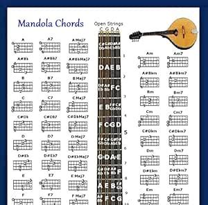 Amazon.com: MANDOLA CHORDS POSTER & NOTE LOCATOR: Musical Instruments