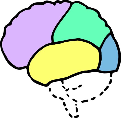 Brain Cartoon - Clip Art, Transparent Png - Original Size PNG Image ...