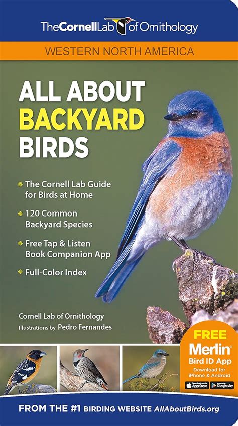 ALL ABOUT BACKYARD BIRDS: WESTERN NORTH (tr) Cornell Lab Publishing (Cornell Lab of Ornithology ...