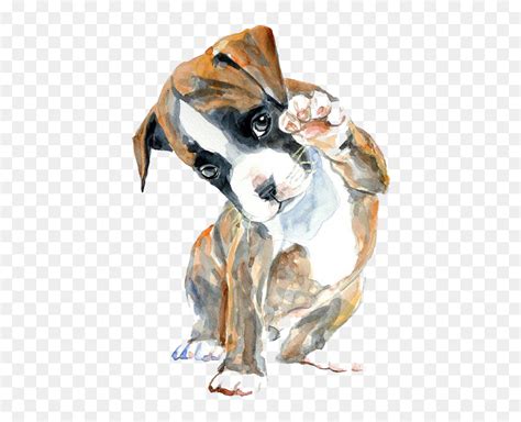 Oil Hello Watercolor Boxer Puppy Painting Drawing Clipart - Puppy ...