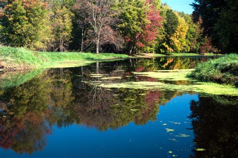 Fall along the Snake River stock image. Image of reflecting - 101592895