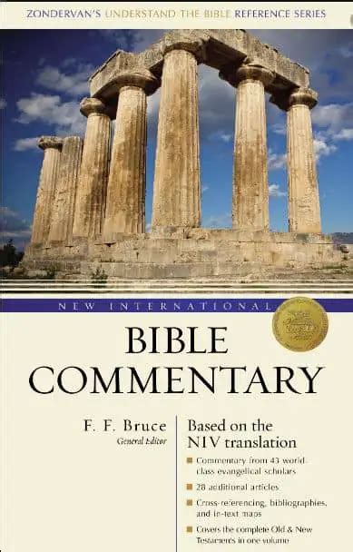 Which Bible Commentary Should I Use? A Simple Guide - Best Bible Commentaries